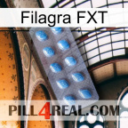 Filagra FXT viagra3